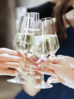 MM Extra Sekt Trocken -Getränke Verkauf 4504070121 4011900800108 05.jpg